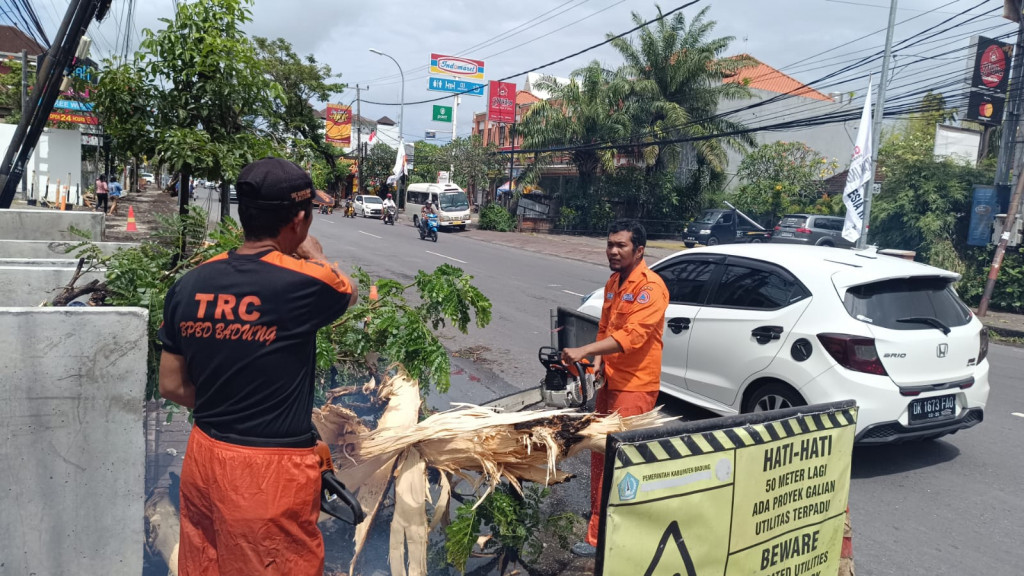 Pohon Tumbang di Jalan Legian, Kelurahan Kuta, Kecamatan Kuta Tanggal 17 Agustus 2023